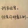 河南多地网友遇夜空震撼一幕
